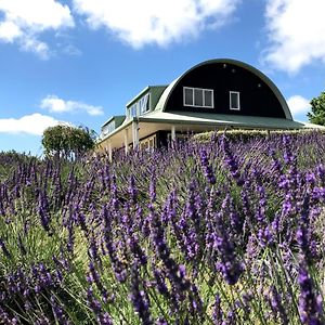 Lavender Hill Bed & Breakfast Riverhead Exterior photo