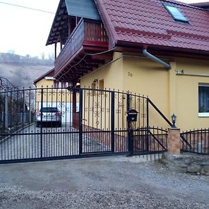 Casa Vio Hotel Sighisoara Exterior photo