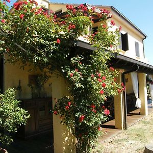 Casolare Casa Ricci Bed & Breakfast Riotorto Exterior photo