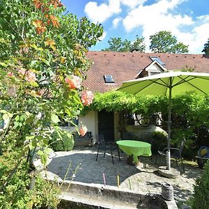 Cosy Holiday Home With Gazebo Weissenburg in Bayern Exterior photo