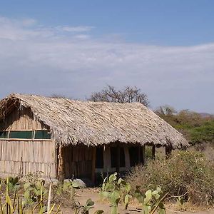 Tindiga Tented Camp Hotel Mangola Exterior photo