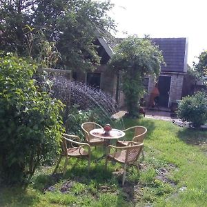 Tinyhouse Op Terschelling Apartment Hoorn  Exterior photo