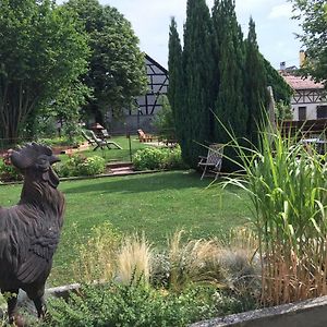 Auberge Saint Laurent Hotel Sierentz Exterior photo