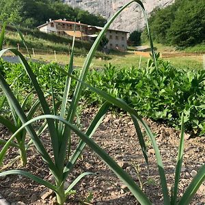 Limaro B&B Sarche di Calavino Exterior photo