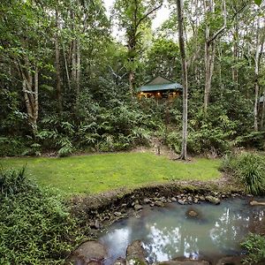 Narrows Escape Rainforest Retreat Villa Montville Exterior photo