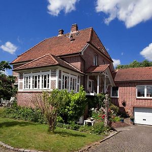 Ferienwohnung Gosch Am Luehedeich Gruenendeich Exterior photo