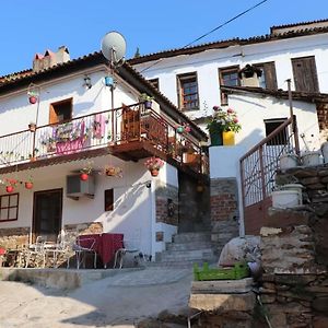 Sirin Ev Pansiyon Bed & Breakfast Selcuk Exterior photo