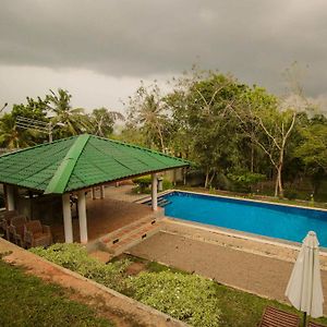 Yoho Airport Green Olive Villa Katunayake Exterior photo