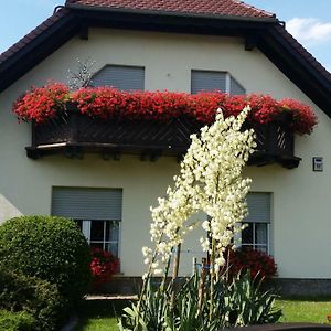 Studio Orchidee Apartment Weissig  Exterior photo