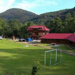 Pensiunea La Busu -Bigar Hotel Bozovici Exterior photo