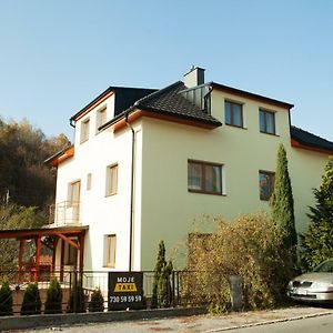 Vila Sofia Hotel Luhacovice Exterior photo