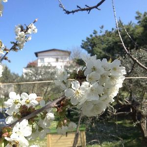 Via Col Vento Bed & Breakfast Chieti Exterior photo