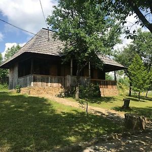 Granny'S House Villa Moisei Exterior photo