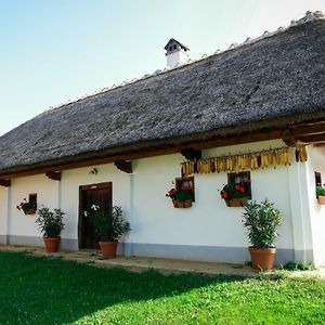 Hrgova Hiska Guest House Ptuj Exterior photo