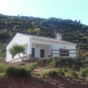 La Solana De Turon. El Pino Guest House Ardales Exterior photo