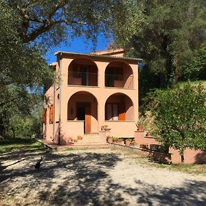 Argentella House Villa Palombara Sabina Exterior photo