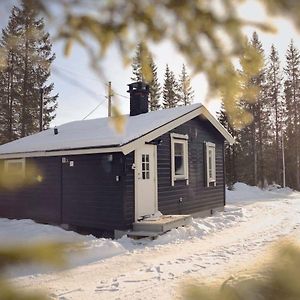 Koselig Hytte I Hemsedal Villa Exterior photo