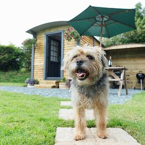 Buttles Shepherd'S Hut Hotel Saundersfoot Exterior photo