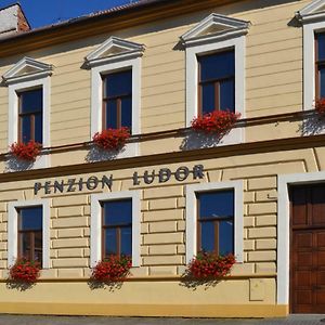 Penzion Ludor Hotel Straznice Exterior photo