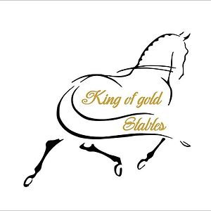 King Of Gold Stables Appartement Met Stalling Voor 5 Paarden Zutendaal Exterior photo