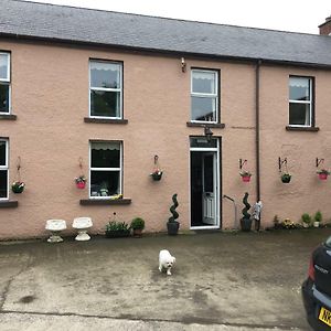 Glenfield Bed & Breakfast Ballymena Exterior photo