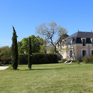 Les Viollieres Bed & Breakfast Bossay-sur-Claise Exterior photo