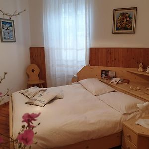 Bed & Breakfast La Betulla Bed & Breakfast Baselga di Pine Exterior photo