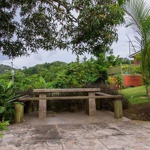 The Grand Sinopia Inn Portland Port Antonio Exterior photo