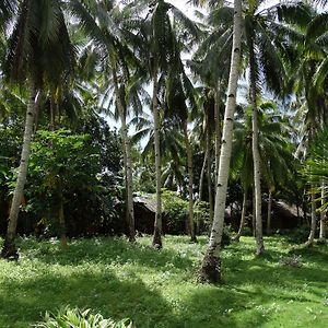 Coco White Beach Resort Guindulman Exterior photo