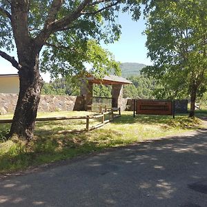 Cabanas Santa Maria Huife Pucon Exterior photo