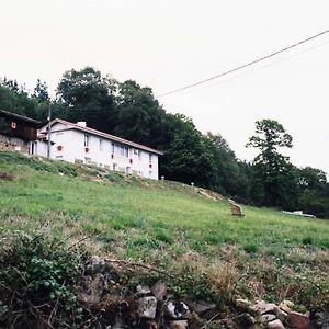 Gran Hotel Semellon Tineo Exterior photo