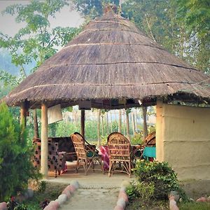 Royal Tiger Cottage Bardiya Exterior photo