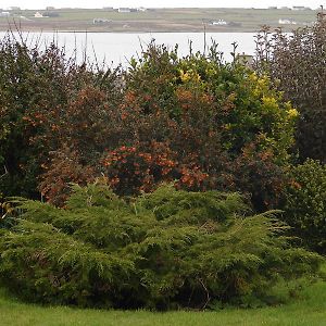 Drom Caoin Bed & Breakfast Belmullet Exterior photo