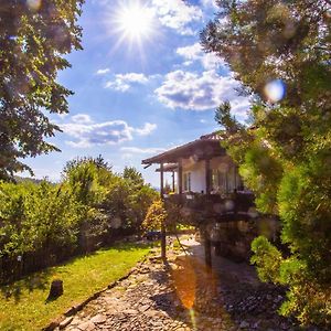 Къща За Гости Пъстрина Hotel Subotkovtsi Exterior photo