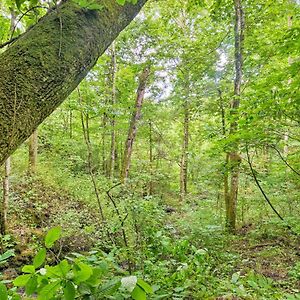 Pet-Friendly Castlewood Cabin With Deck And Pond Views Villa Saint Paul Exterior photo