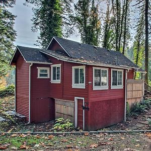 Peaceful Mckenzie River Retreat Fish, Hike, And Ski Villa Vida Exterior photo