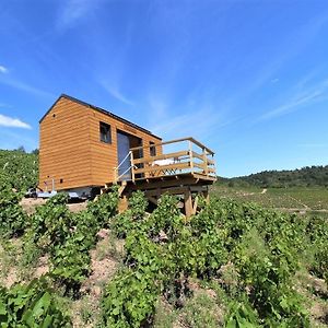 Tiny House Au Coeur Du Vignoble Beaujolais Hotel Fleurie Exterior photo