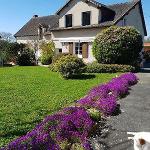 Chambres D'Hotes Anne-Marie Chatillon-sur-Indre Exterior photo