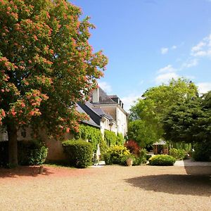 Moulin De Bacchus - Chateaux De La Loire Bed & Breakfast Chancay Exterior photo