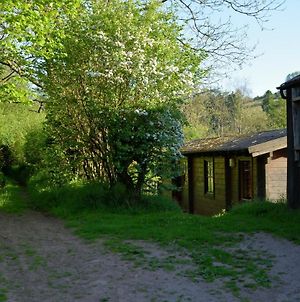Log Cabin Villa Brecon Exterior photo