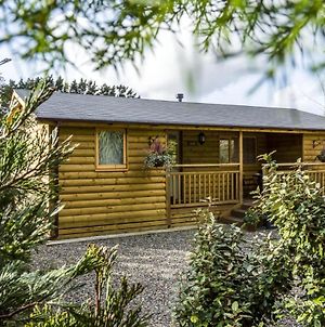 Fern Lodge - 2 Bedroom Log Cabin - Saint Florence - Tenby Exterior photo
