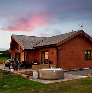 Cuddfan Lodge On A Gorgeous Private Lake Newport  Exterior photo