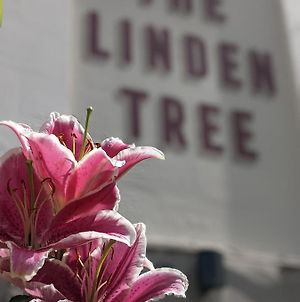 Linden Tree Bed & Breakfast Gloucester Exterior photo
