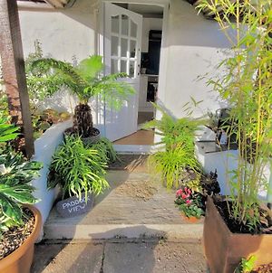Idyllic Cornish Cottage, Superking Bed, Private Garden Dogs Welcome Truro Exterior photo