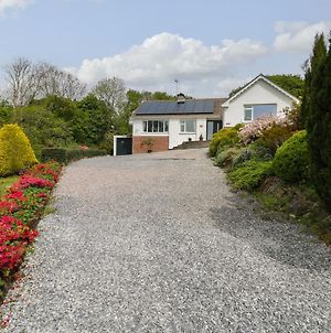 The Dingle Villa Narberth Exterior photo