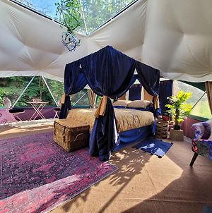 Luxury & Secluded Geodesic Stargazer Dome With 4 Poster King Size Bed -Private Shower Kitchen And Toilet Narberth Exterior photo