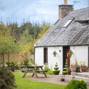 Cosy & Rustic Retreat - Woodland Cottage. Nairn Exterior photo