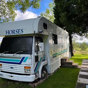 Dobbin The Horse Box In The Lake District Cockermouth Exterior photo
