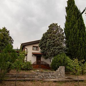 Villa Brestnik Plovdiv Exterior photo