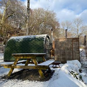 Pine Cosy Winter Cabin - Hot Tub & Log Burner Apartment Barmouth Exterior photo
